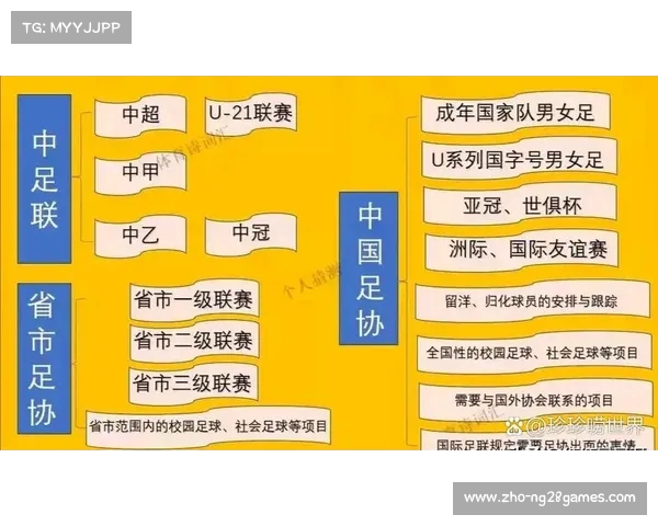 中冠联赛是什么级别的职业联赛其重要性如何解析 中冠联赛是什么级别的职业联赛其重要性如何解析